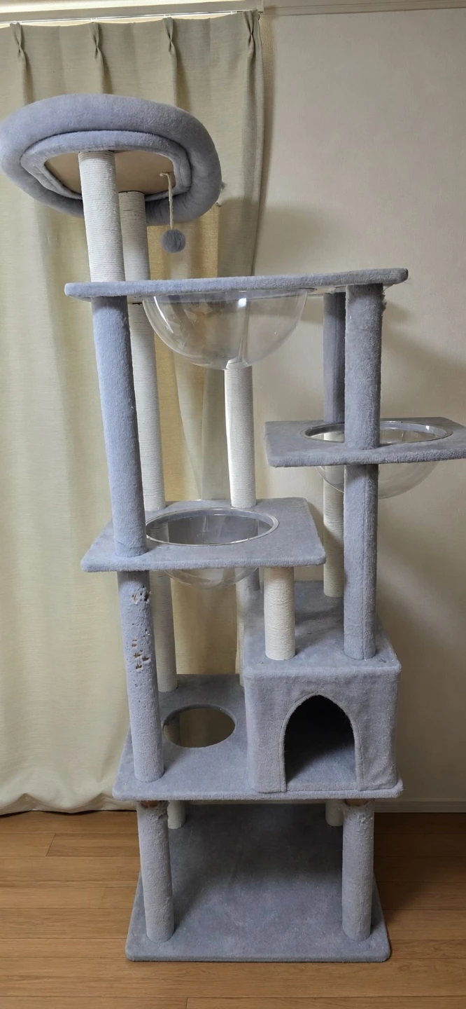 キャット用品