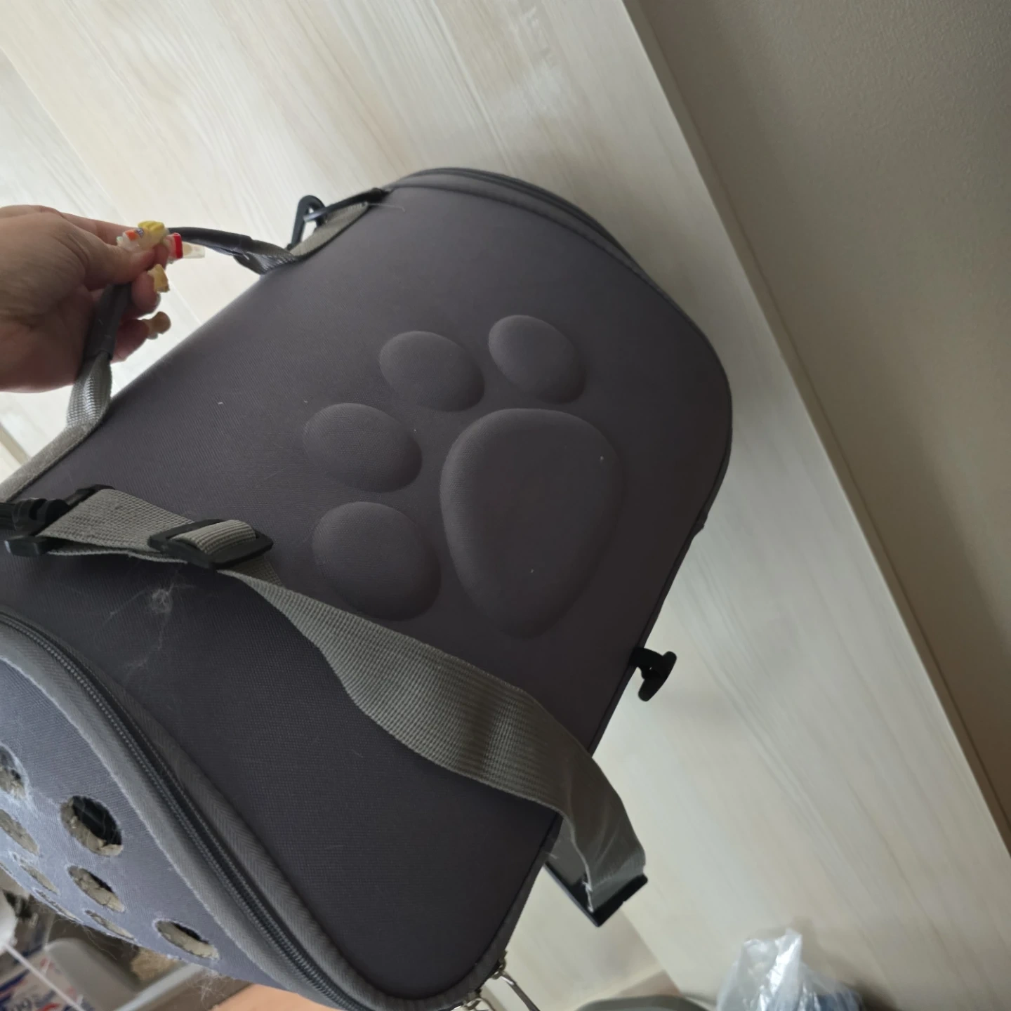 キャット用品の写真6枚目