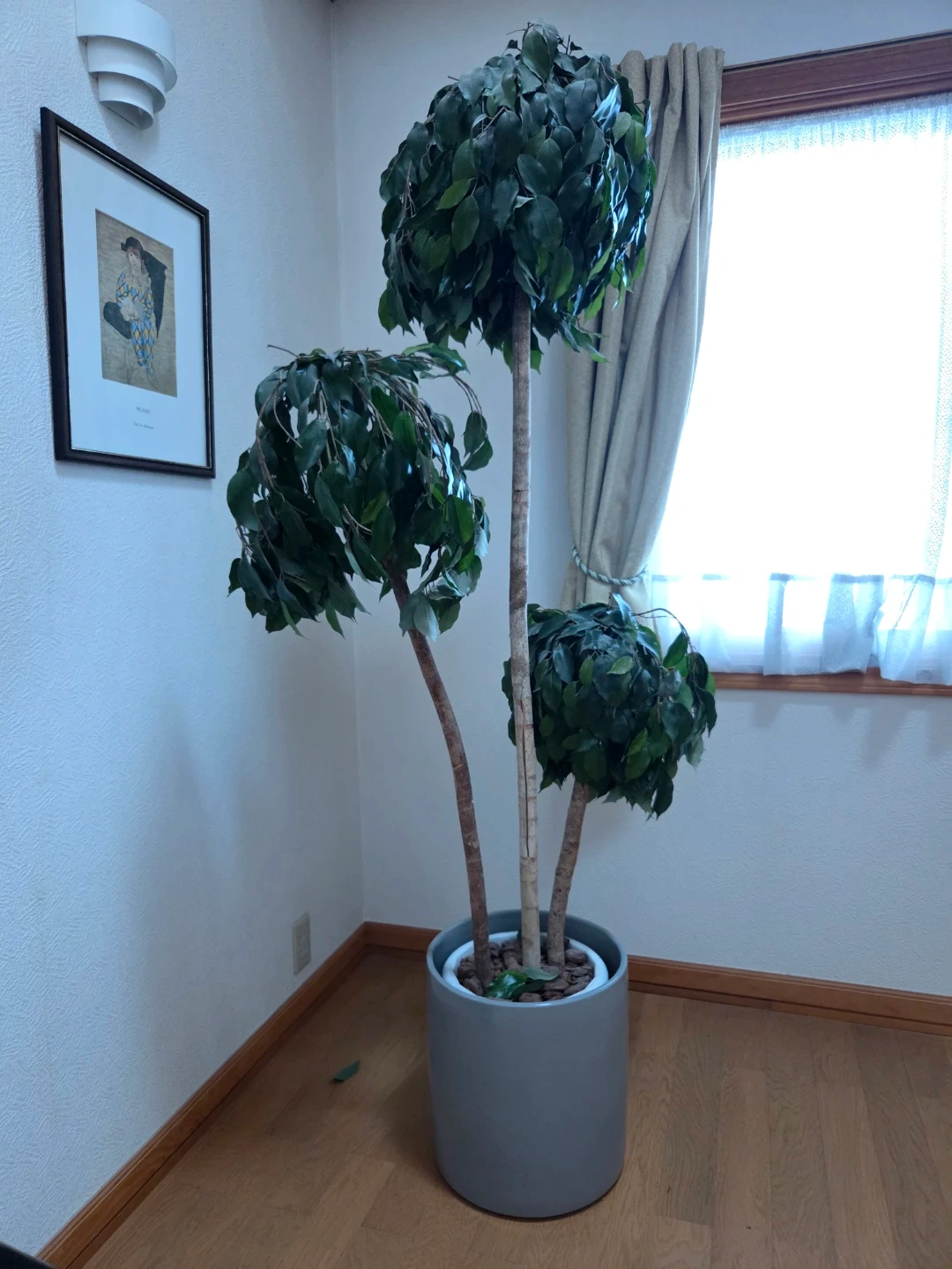 観葉植物 高さ185cmたかたか高さ185cmベンジャミン 3段寄せ植えフェイクグリーン