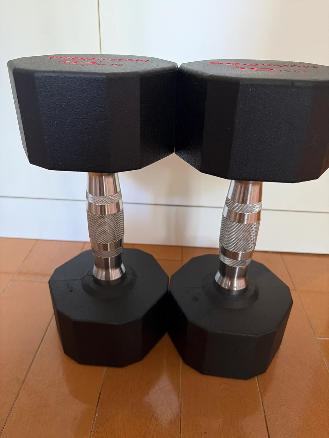 プロアイアン ダンベル 10kg 2個セット