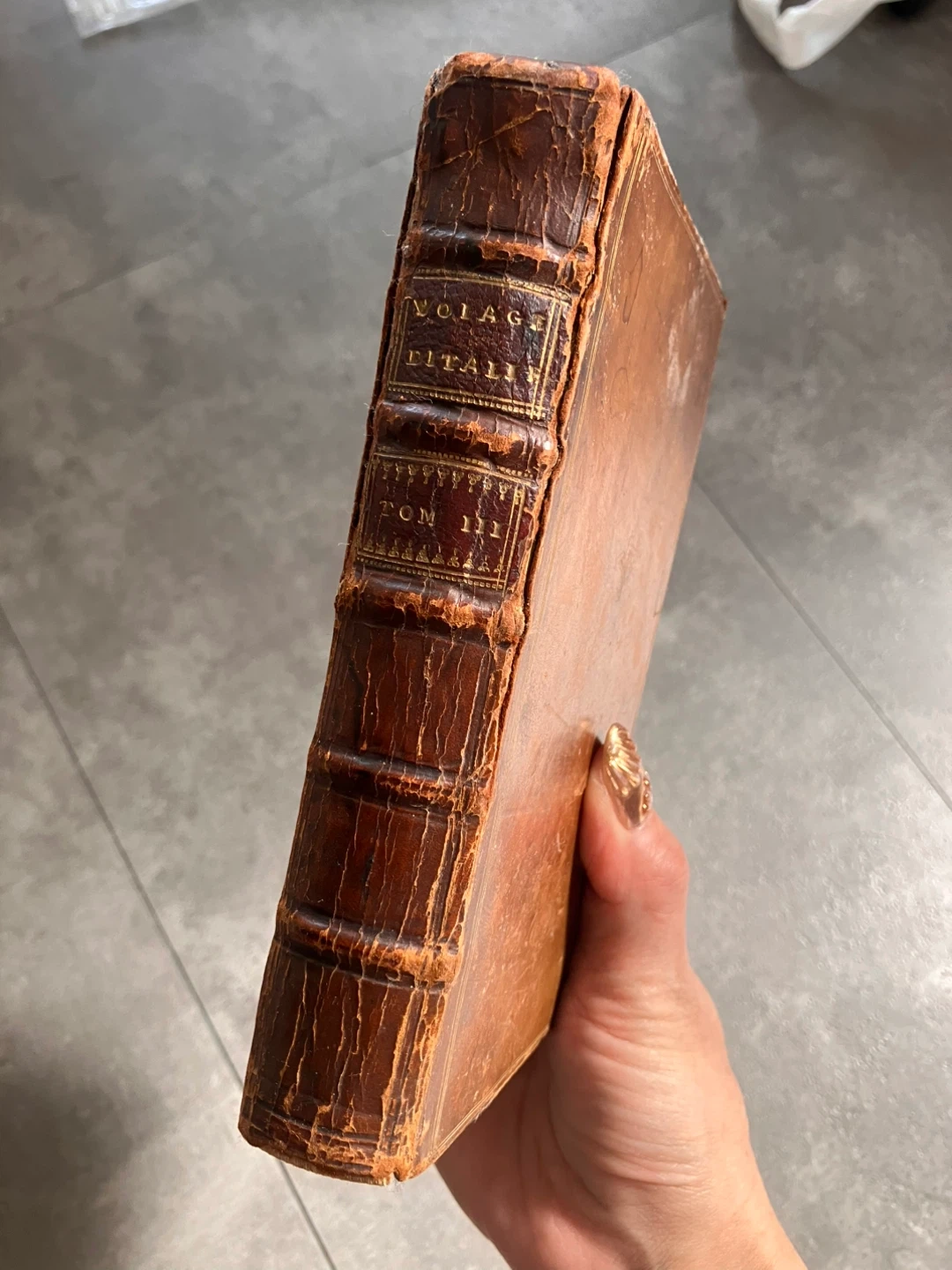 アンティーク 洋書 古書