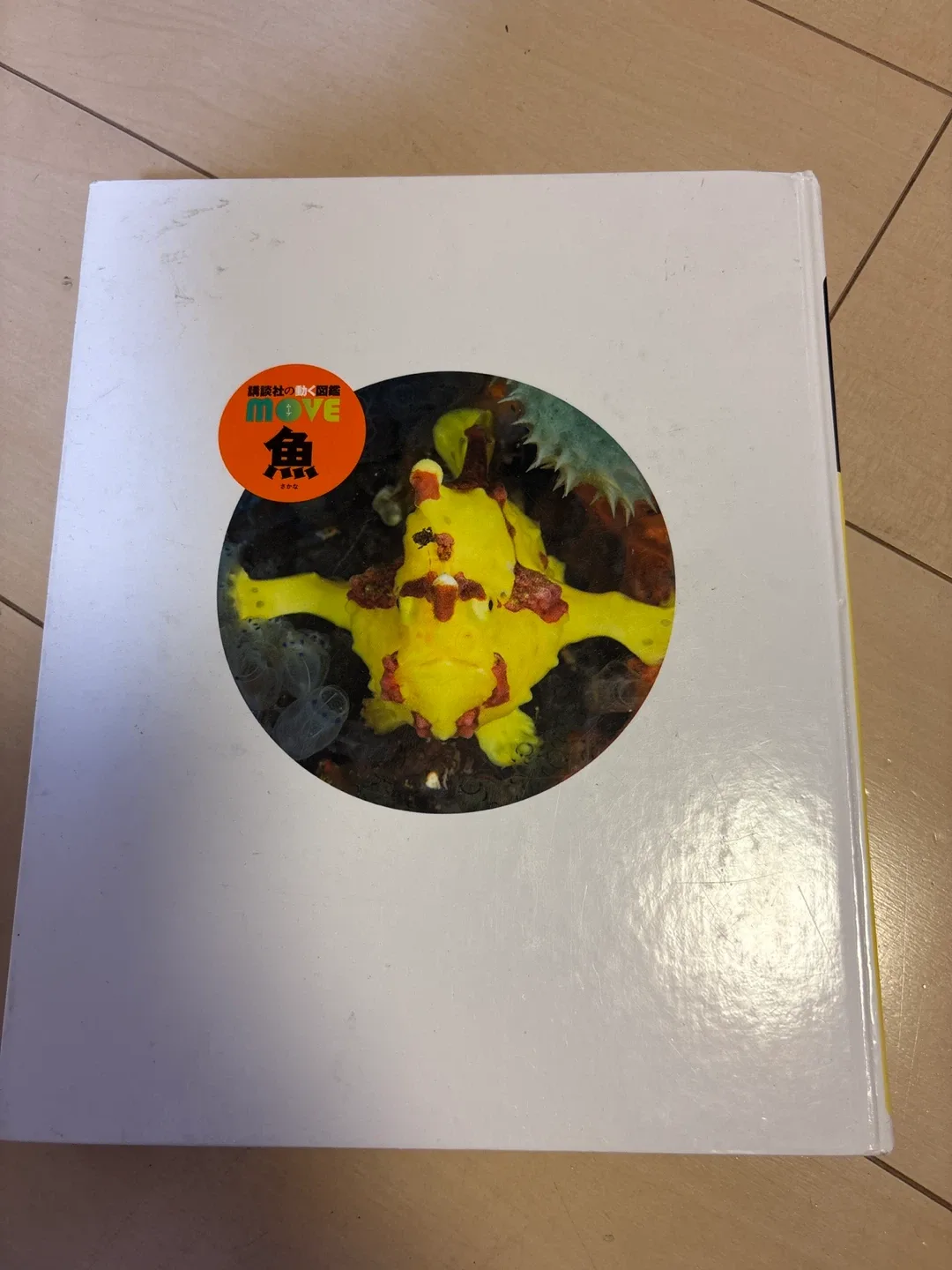 image indicator(2)