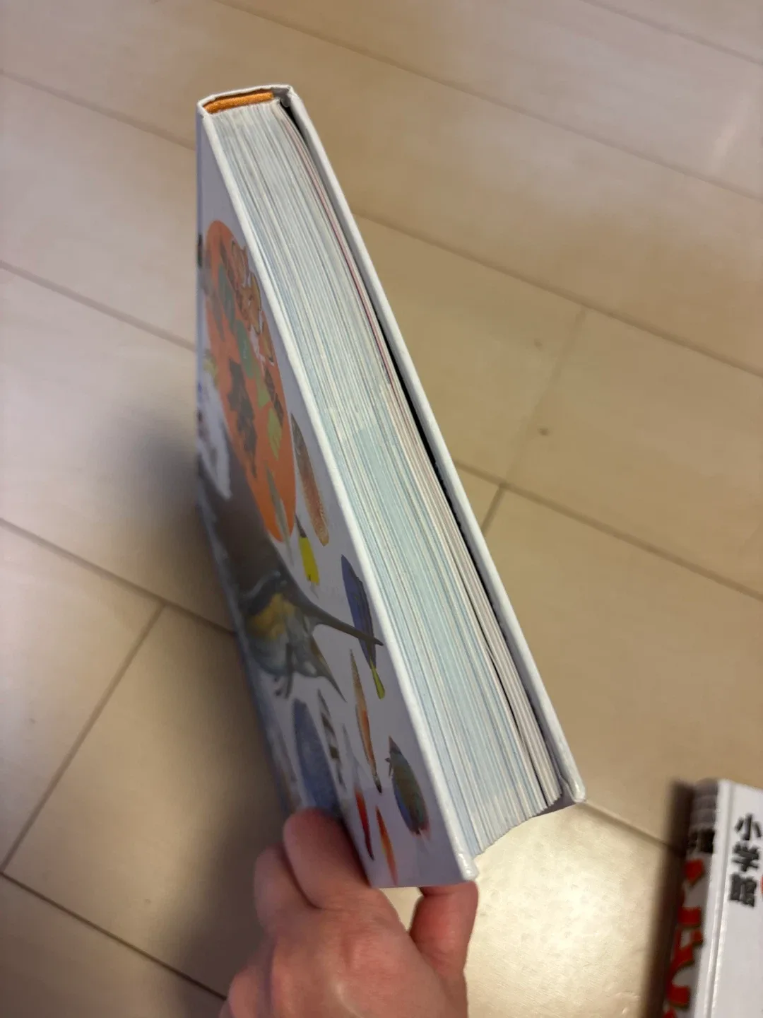 image indicator(3)