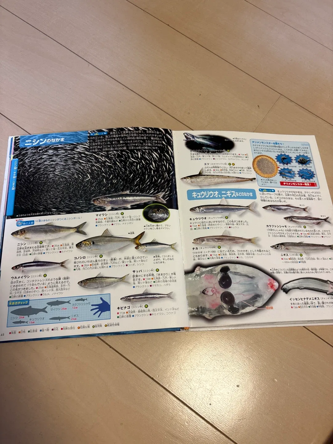 image indicator(4)