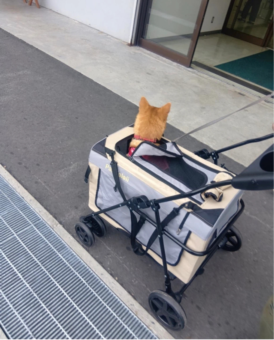 ペット用ベビーカー 中大型犬対応 無料の写真3枚目
