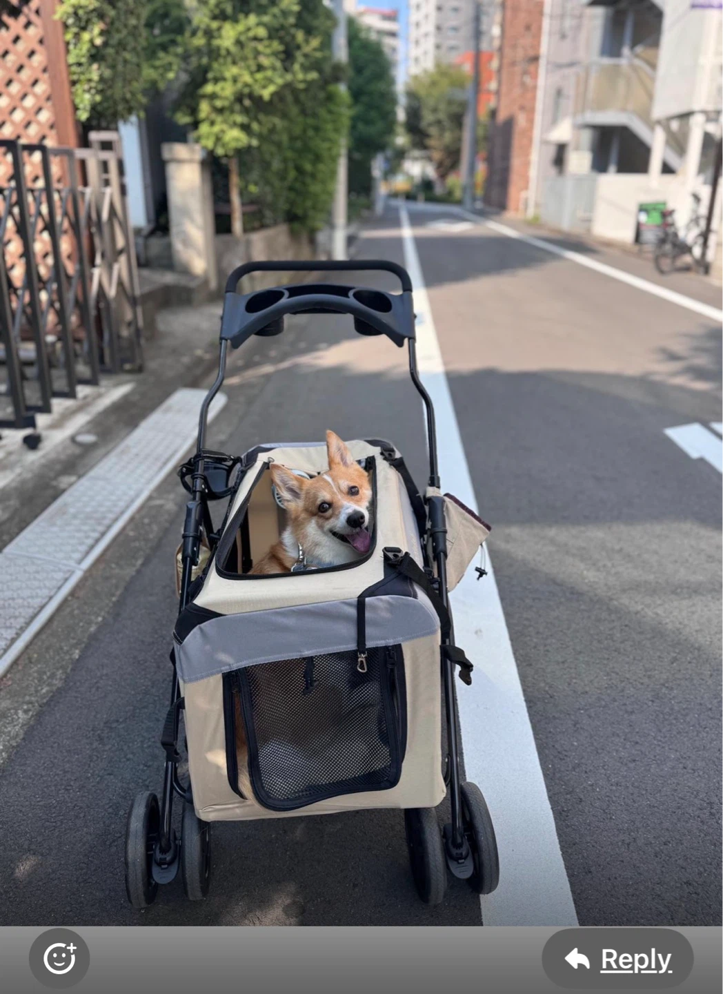 ペット用ベビーカー 中大型犬対応 無料