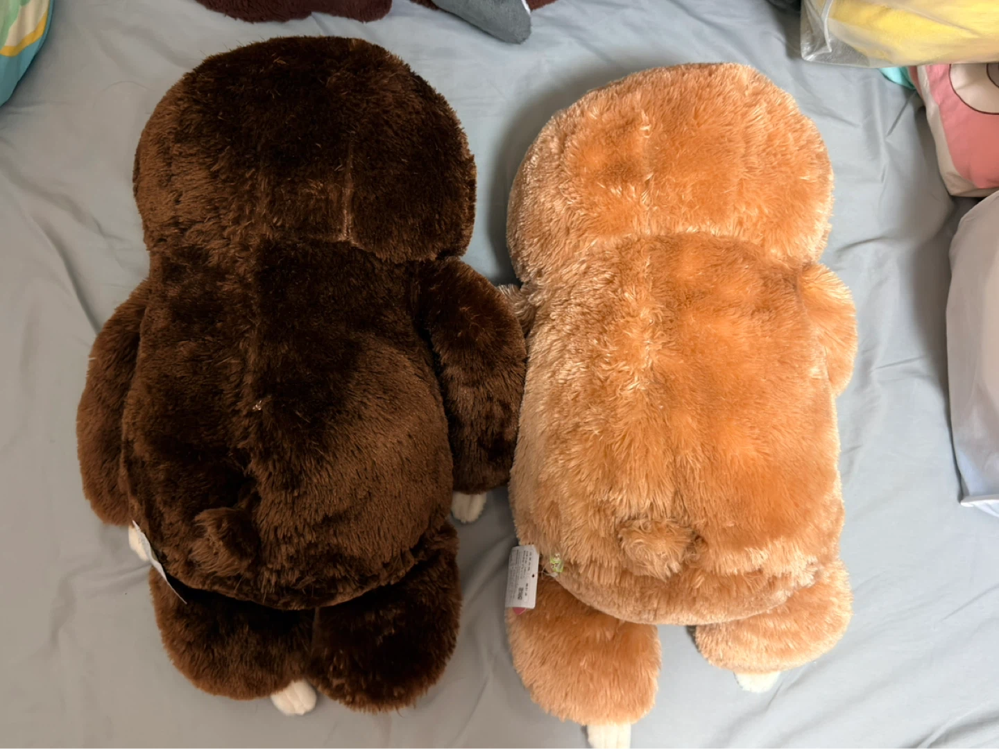 アミューズ ナマケモノぬいぐるみ 2体セットの写真2枚目