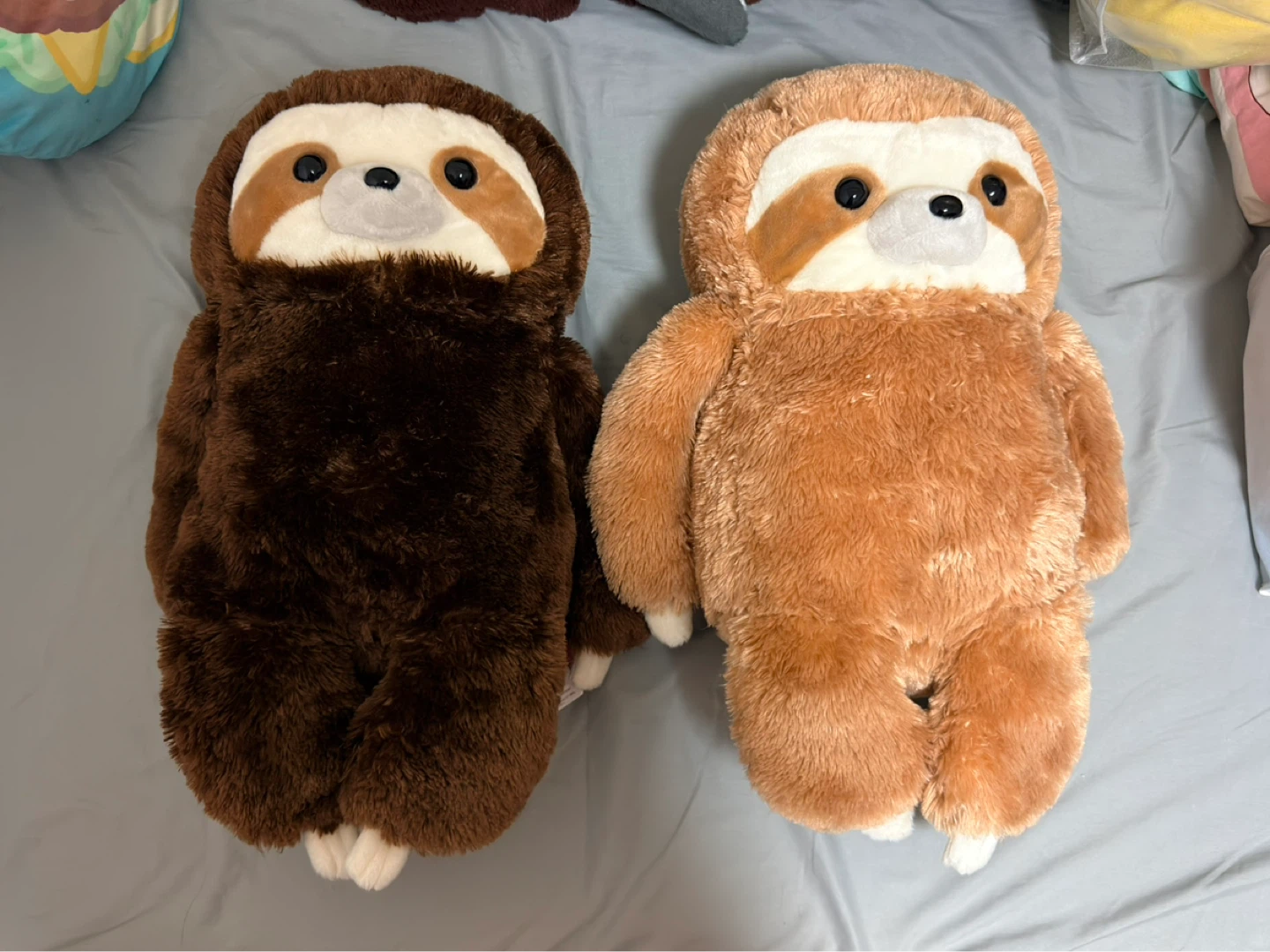 アミューズ ナマケモノぬいぐるみ 2体セット