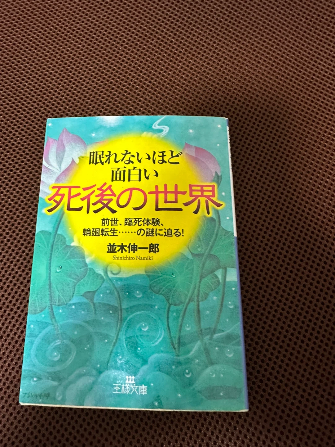 眠れないほど面白い死後の世界 並木伸一郎 王様文庫