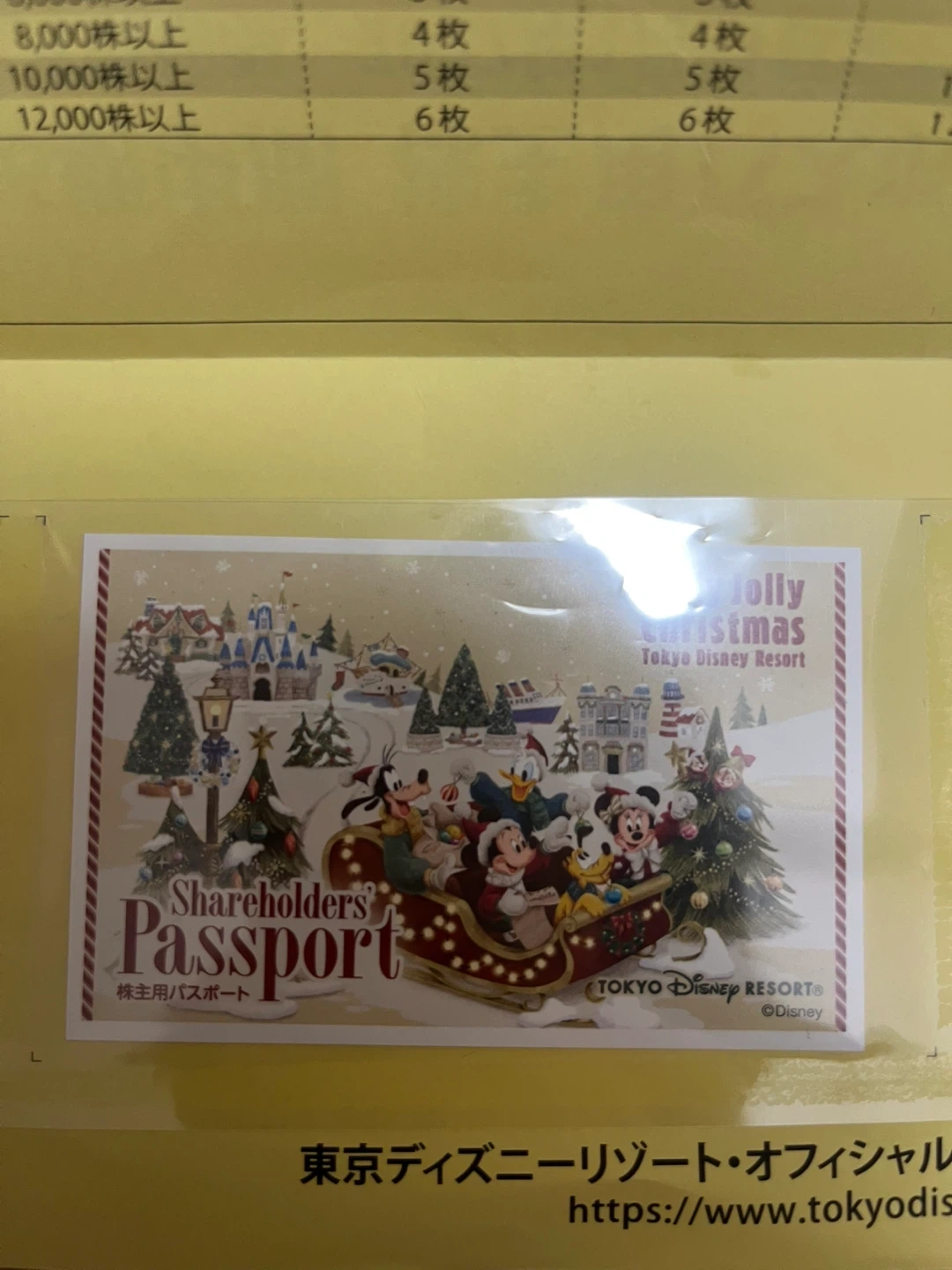 ディズニー 株主優待 チケット