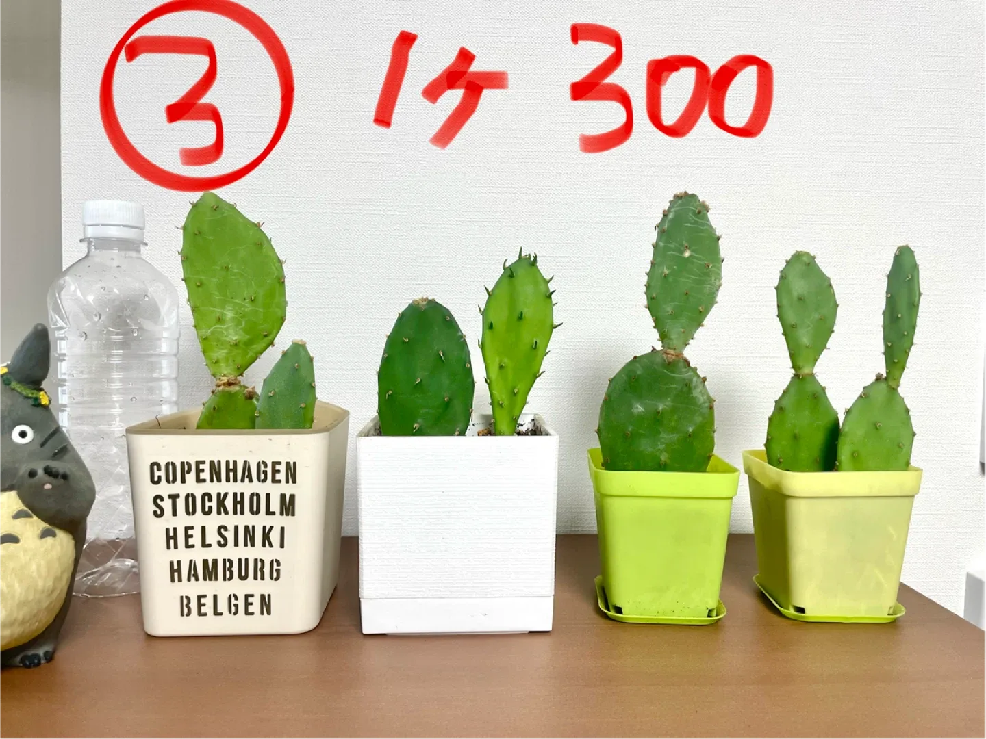 image indicator(3)