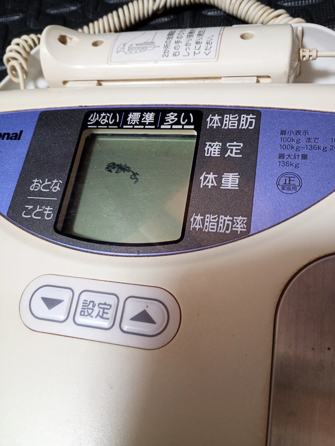 ナショナル 体脂肪体重計 DM-W1の写真3枚目