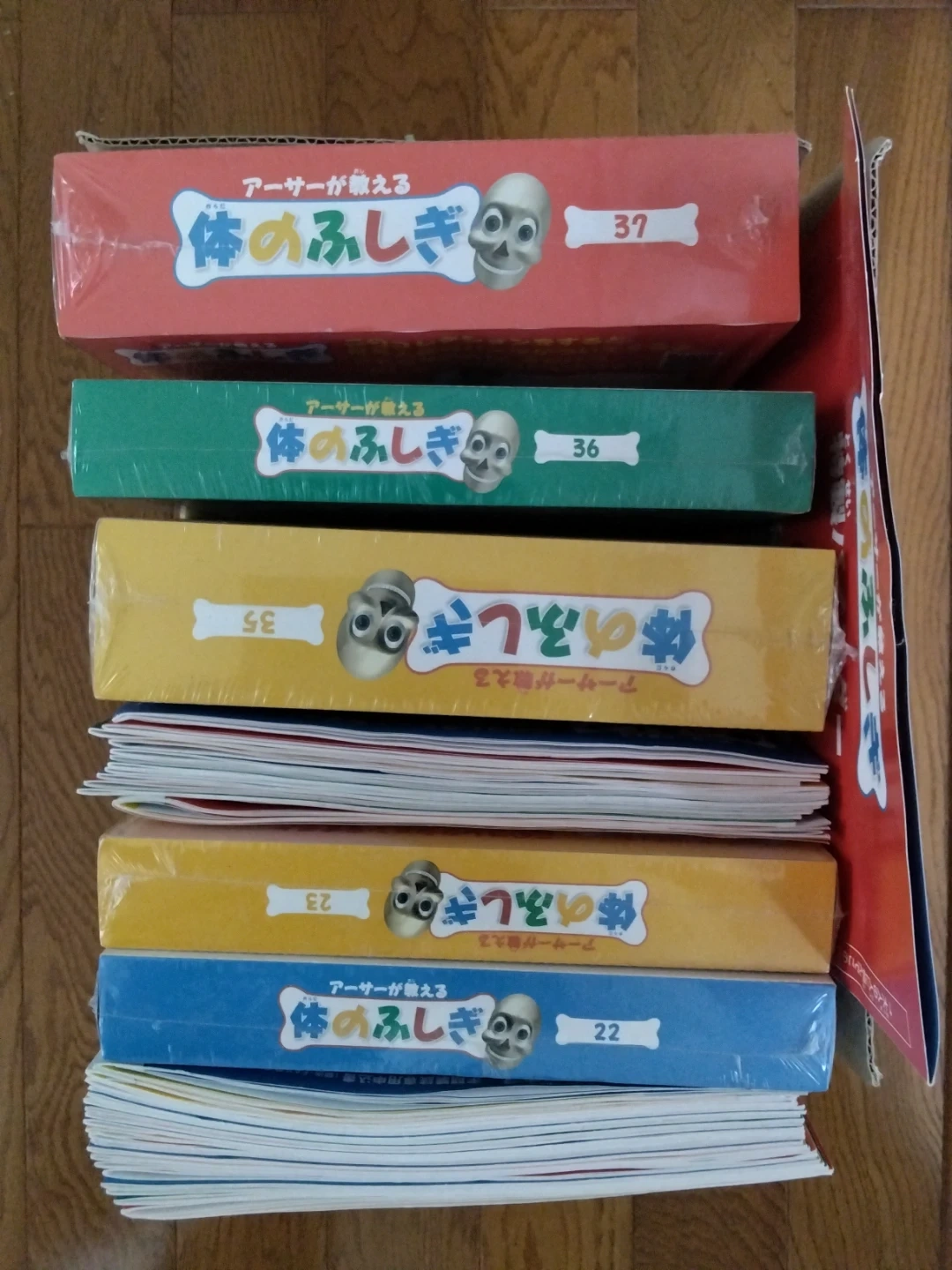 アーサーが教える体のふしぎ 5冊セット
