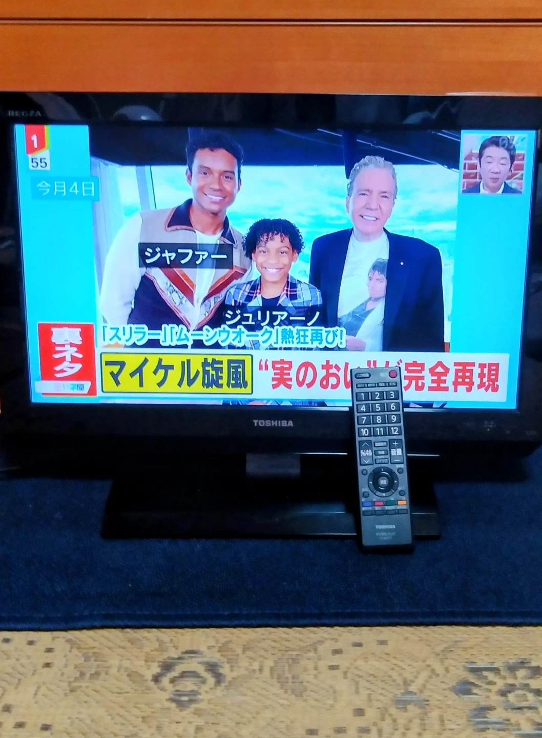 東芝 REGZA 液晶テレビ22型リモコン付き