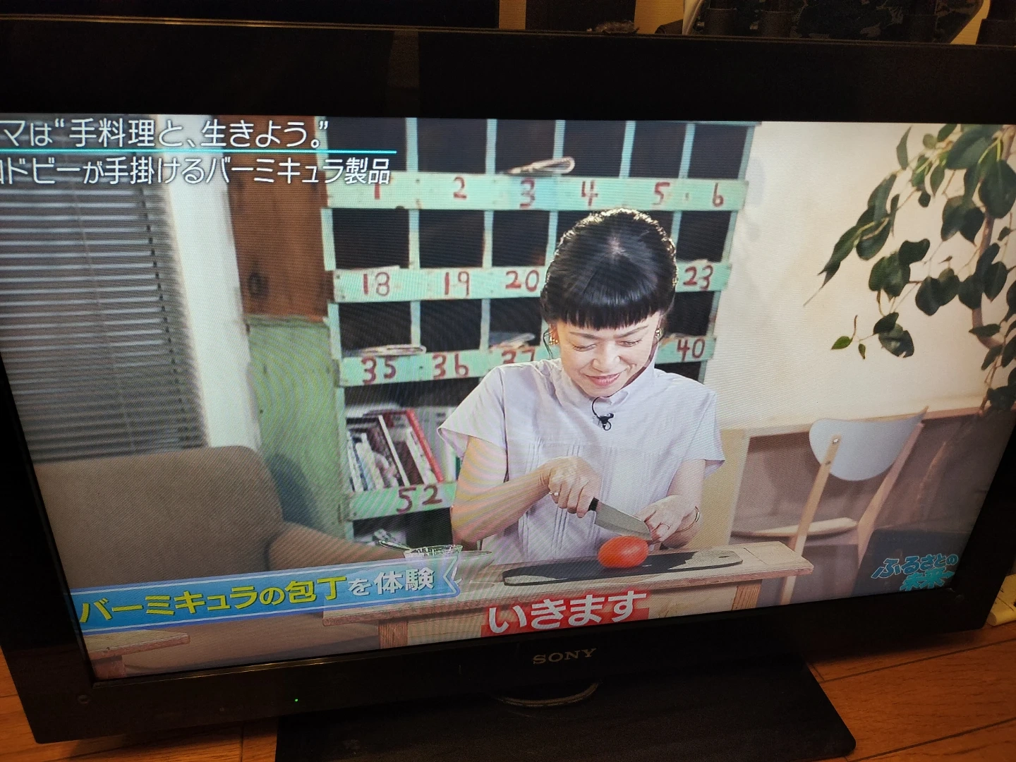 ソニー 液晶テレビ KDL-32CX400 32インチ