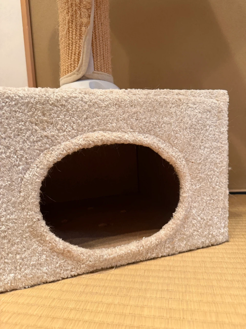 キャットタワー 猫用の写真7枚目