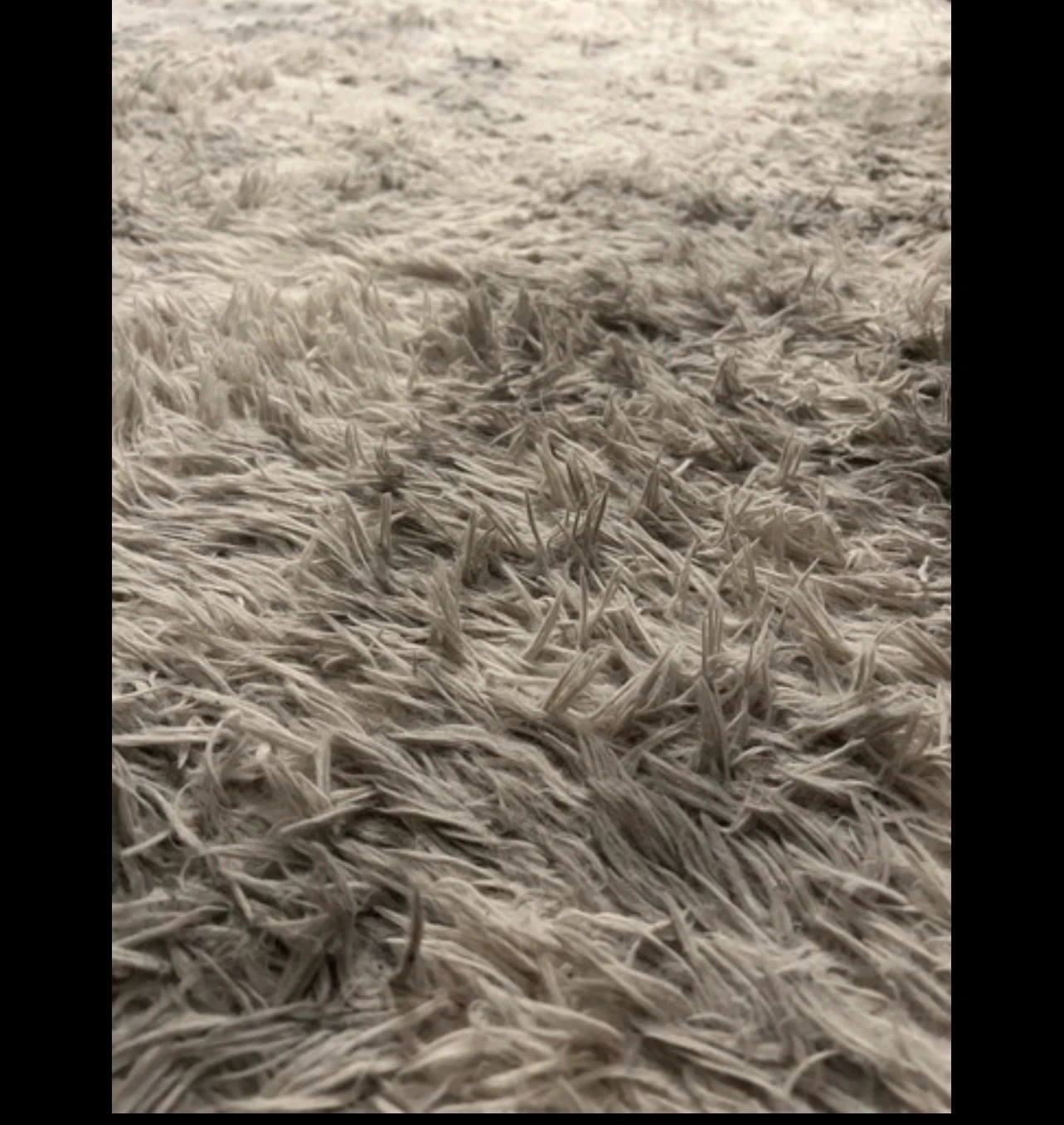 シャギーラグ 北欧風 グレー