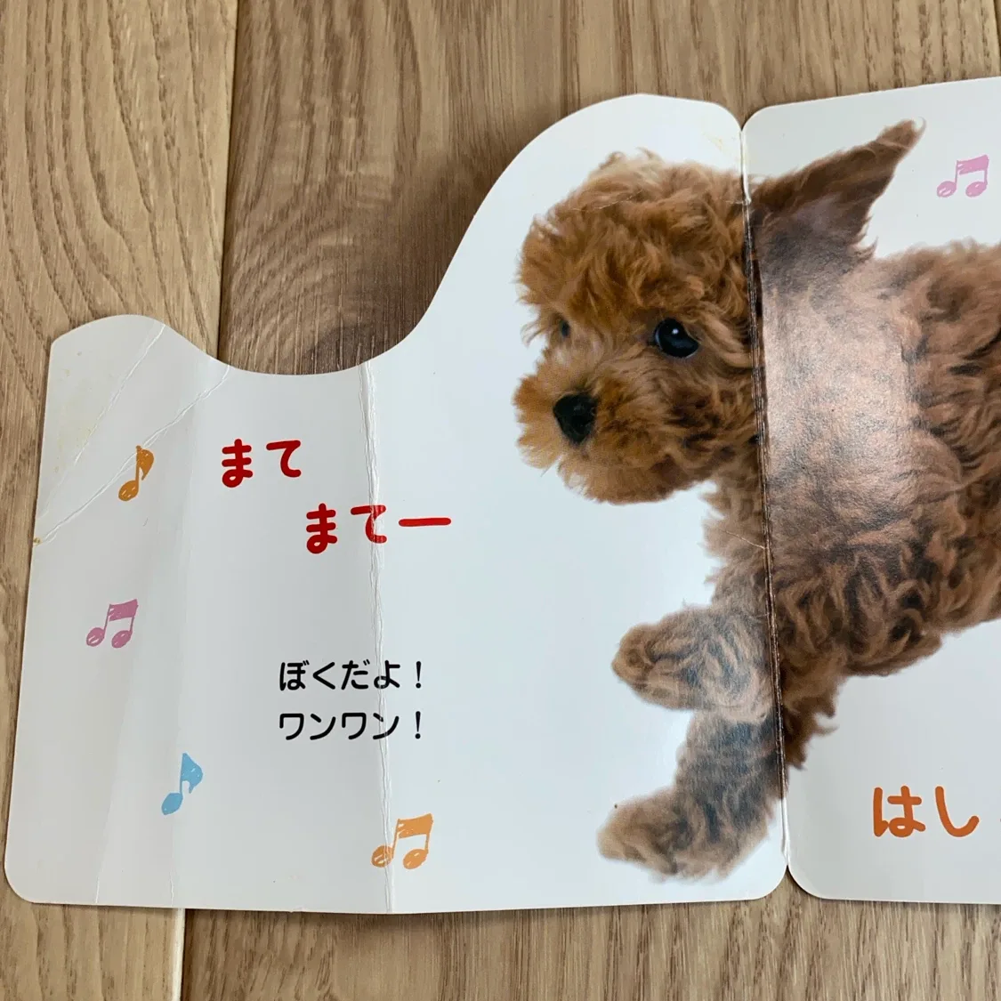 image indicator(3)