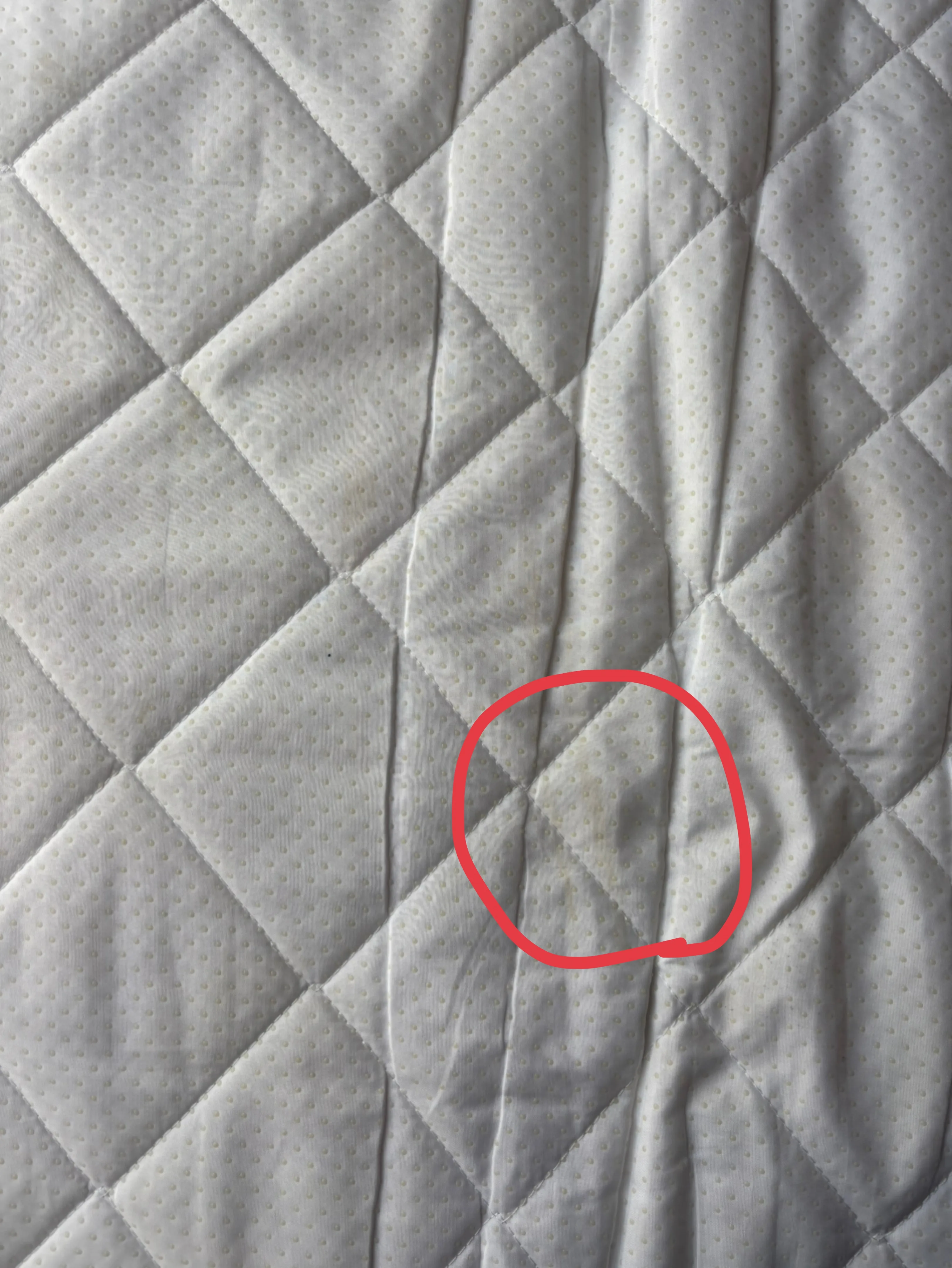image indicator(3)