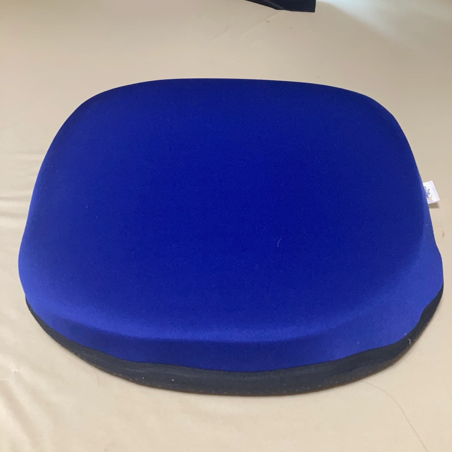トゥルースリーパー クッション 青