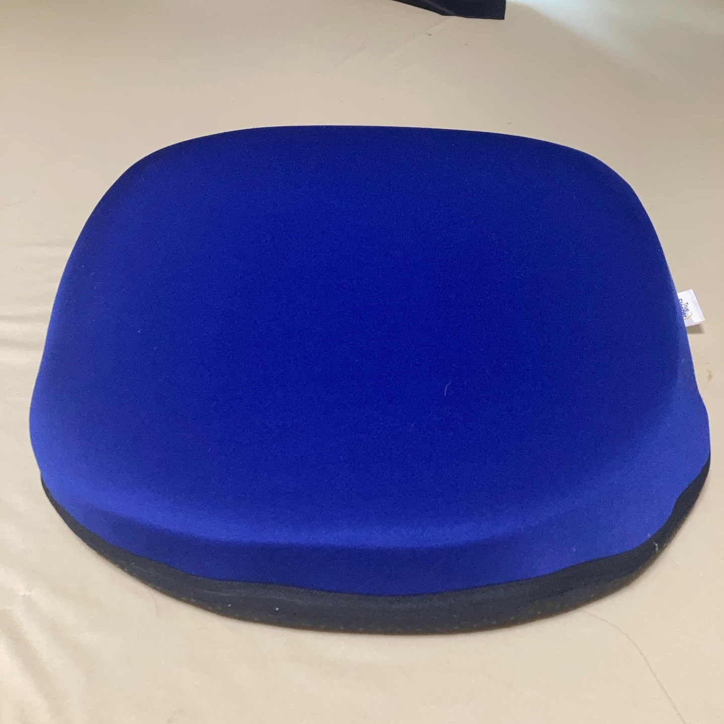 トゥルースリーパー クッション 青