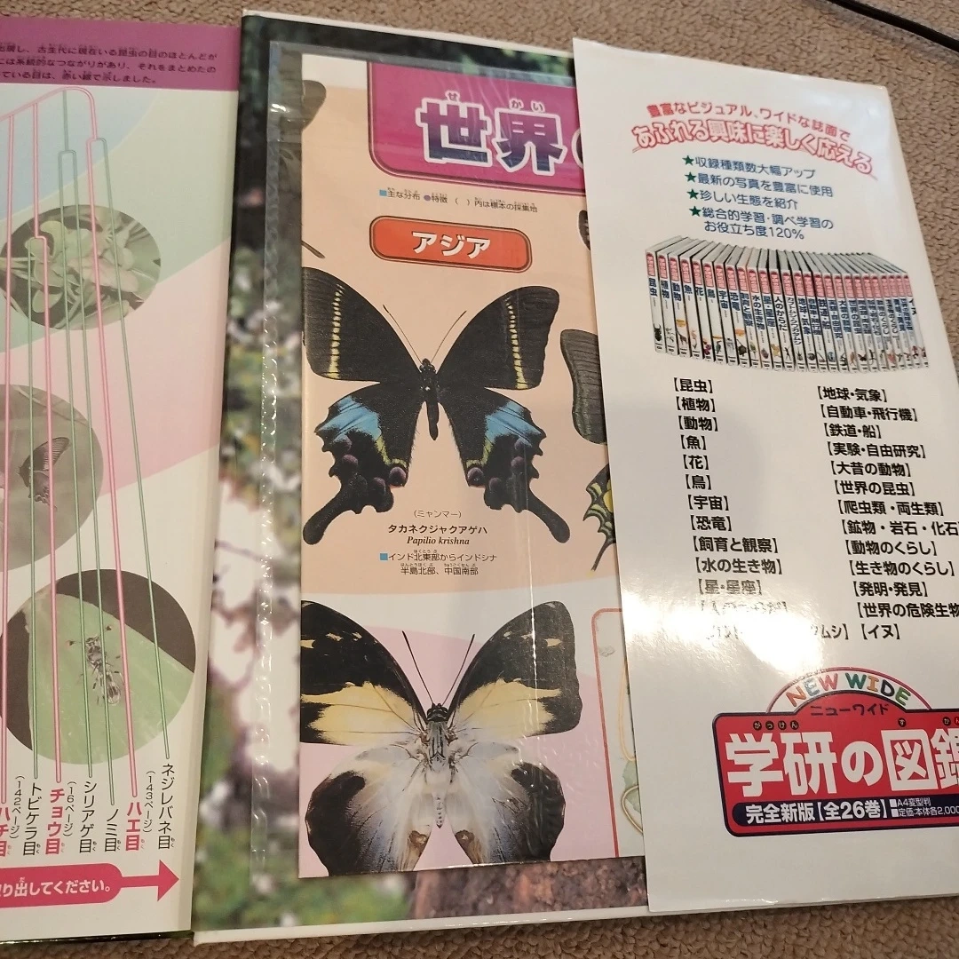 新品 学研の図鑑 世界の昆虫の写真3枚目