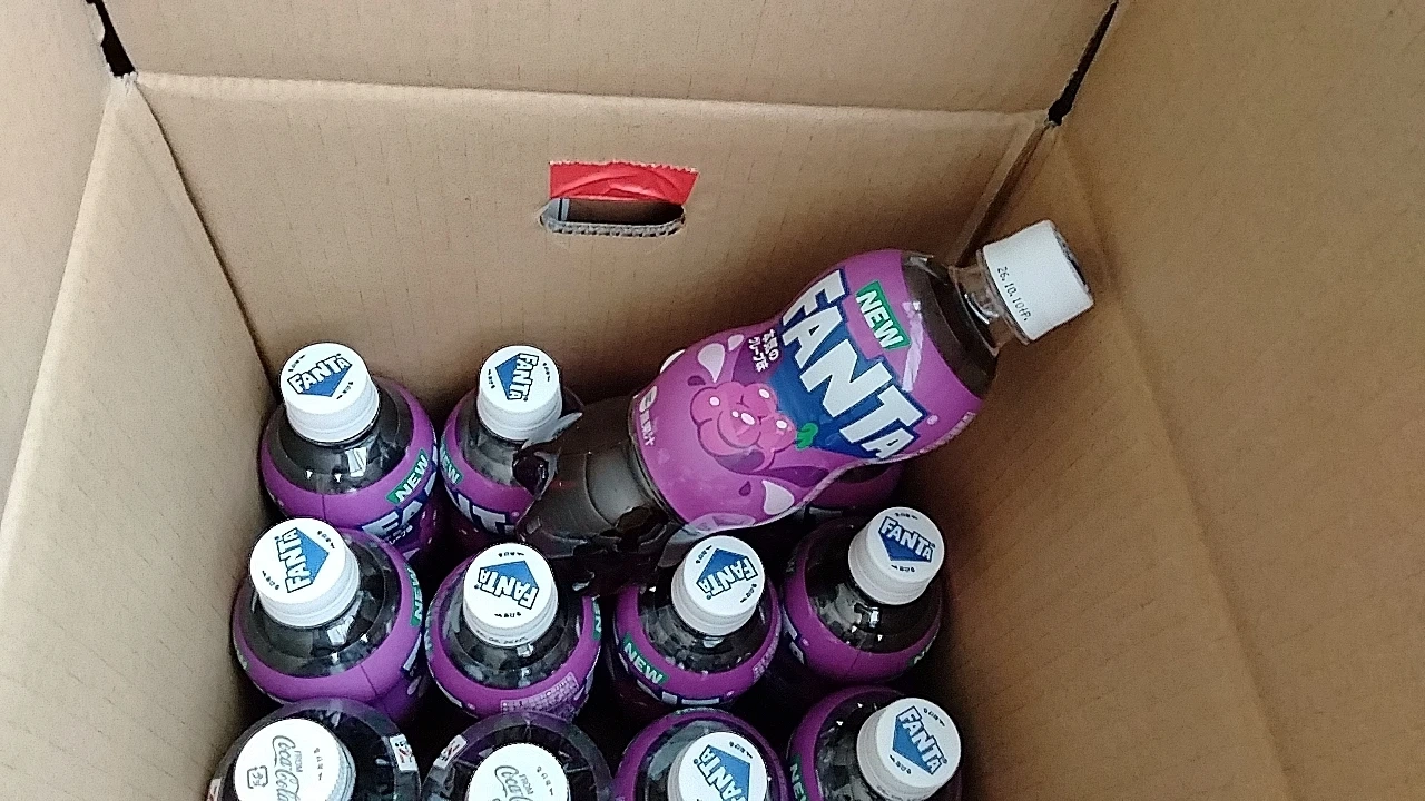 10本 ファンタ グレープ 500ml