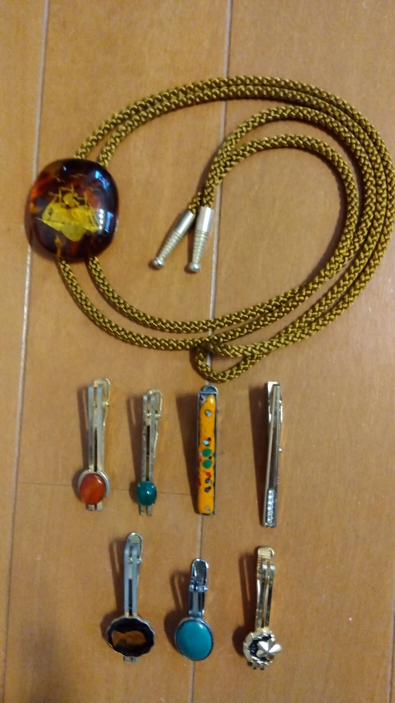 ループタイとネクタイピンのセット