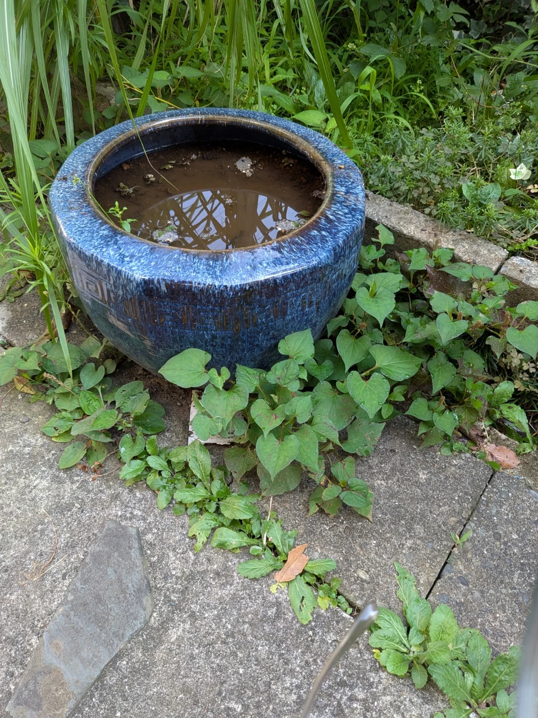 陶器製 睡蓮鉢 青色  いただきものですが1000円でお願いします🙇の写真2枚目