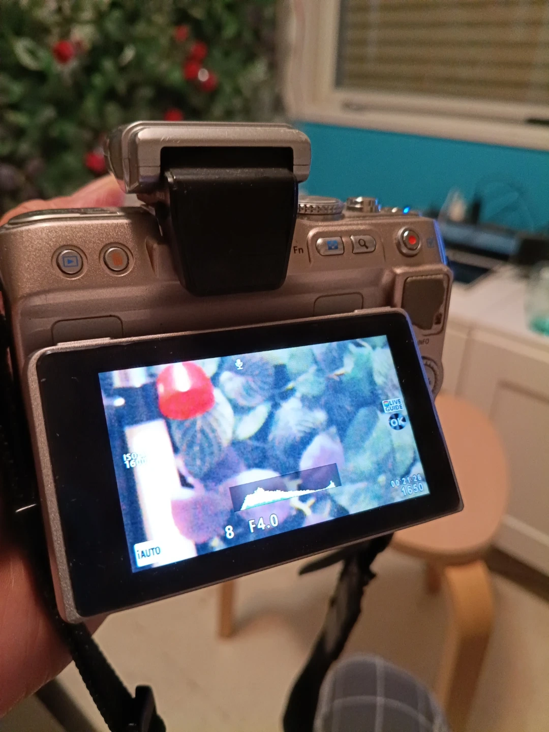 オリンパス ミラーレス一眼 E-PL3の写真3枚目