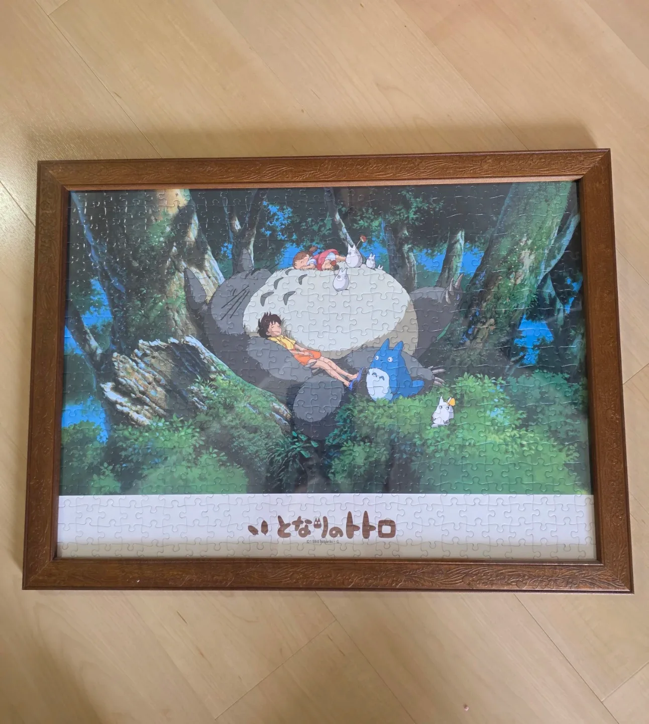 image indicator(1)