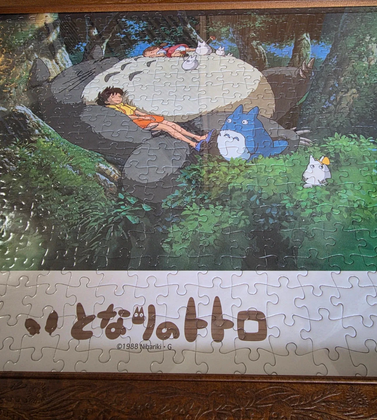 image indicator(2)