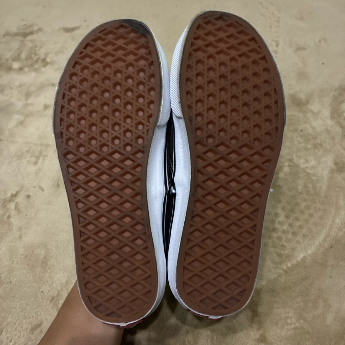 VANS Authentic ブラウン スニーカー 22.5cmの写真8枚目