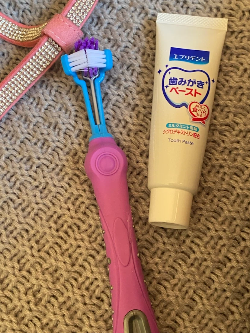 ペット用 ハーネス リード セット ピンク ラインストーンの写真6枚目