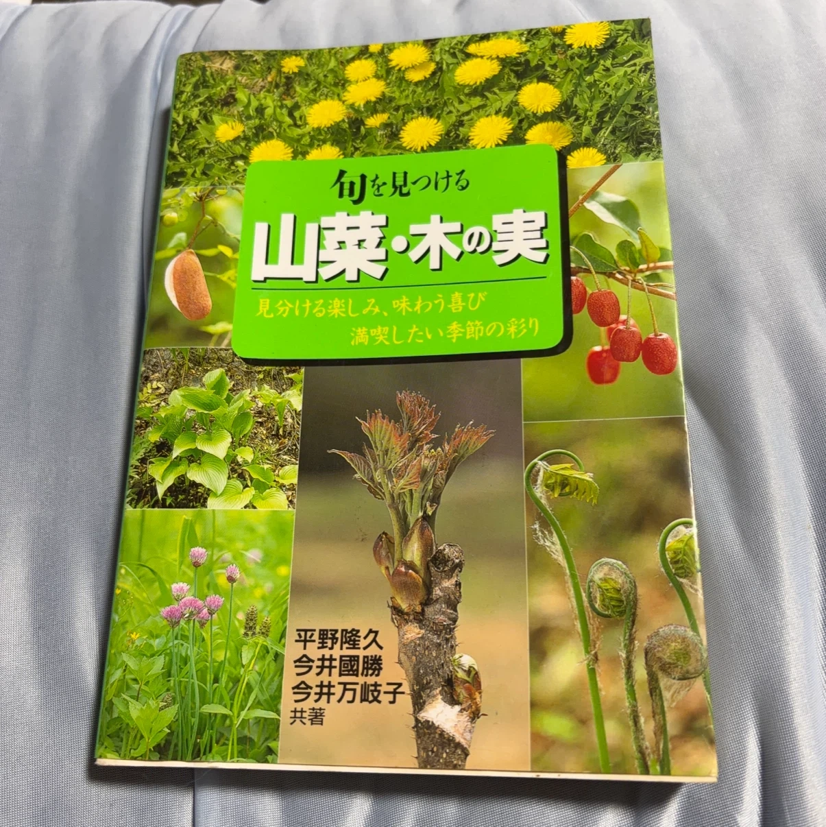 旬を見つける山菜・木の実 図鑑