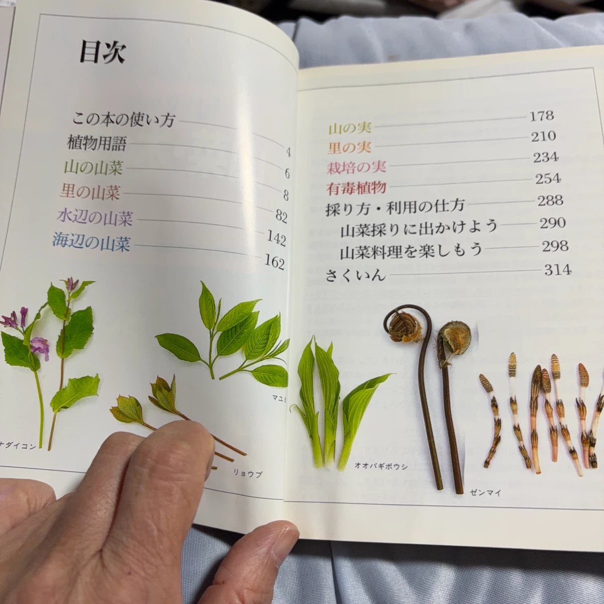 旬を見つける山菜・木の実 図鑑の写真2枚目