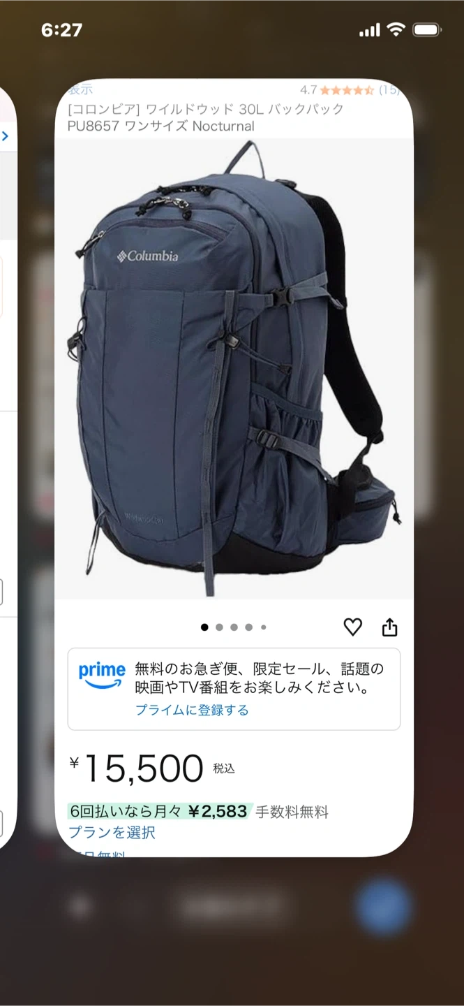 コロンビア ワイルドウッド 30L バックパックの写真3枚目