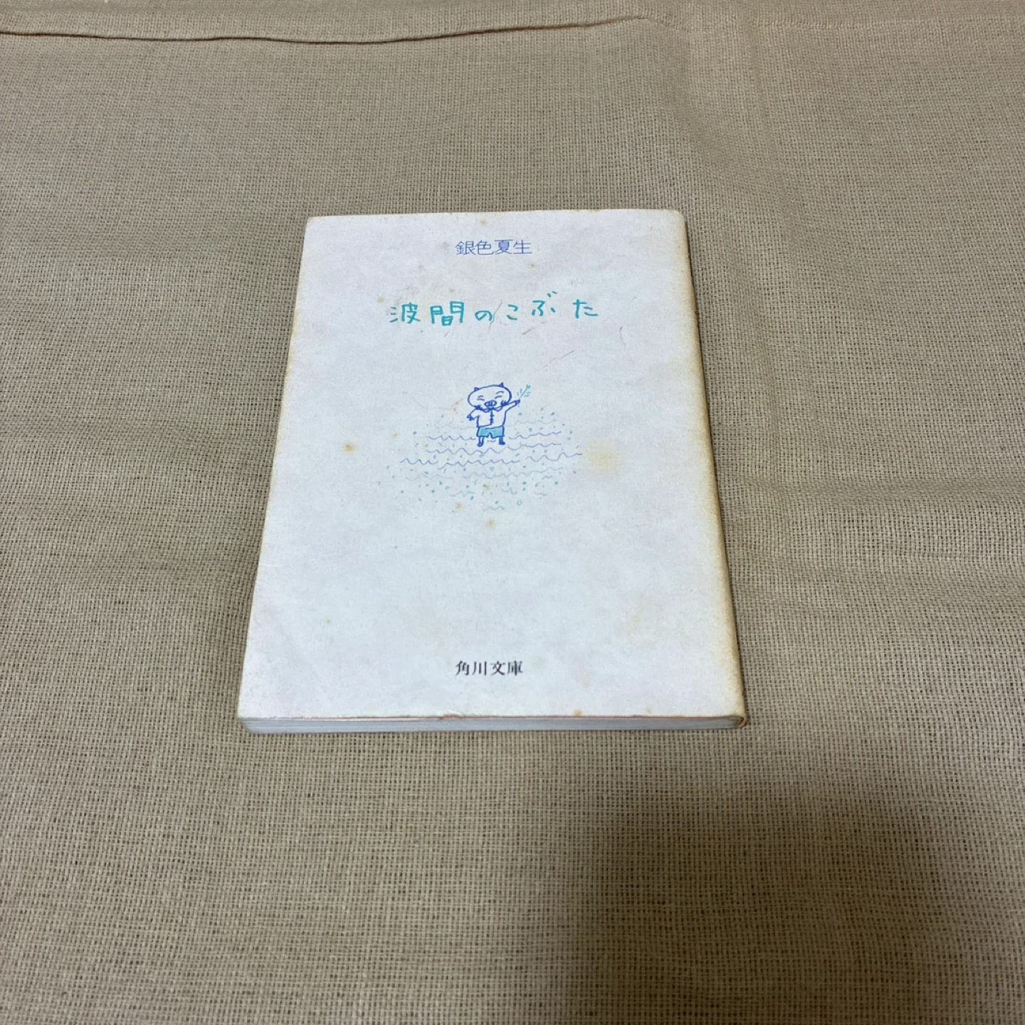 ★☆銀色夏生☆波間のこぶた