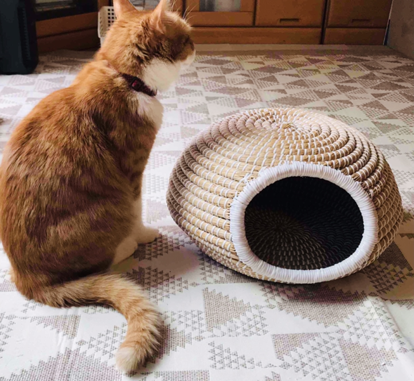 猫ちぐら