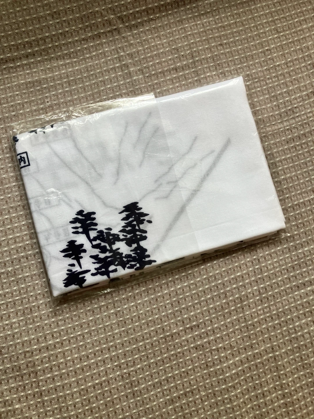 サロモン 富士みち 手ぬぐい