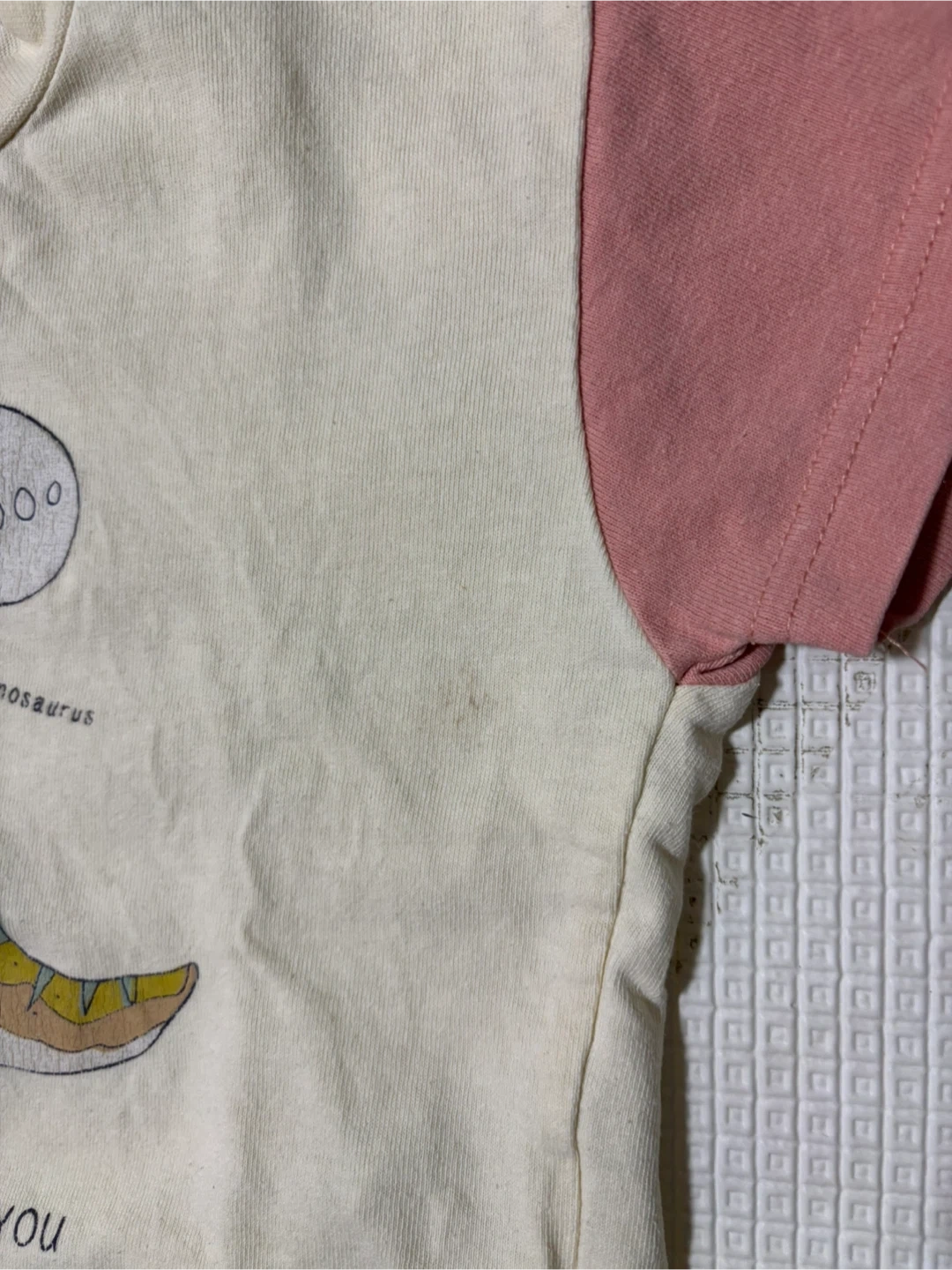 恐竜プリント Tシャツ クレイジーカラーの写真2枚目