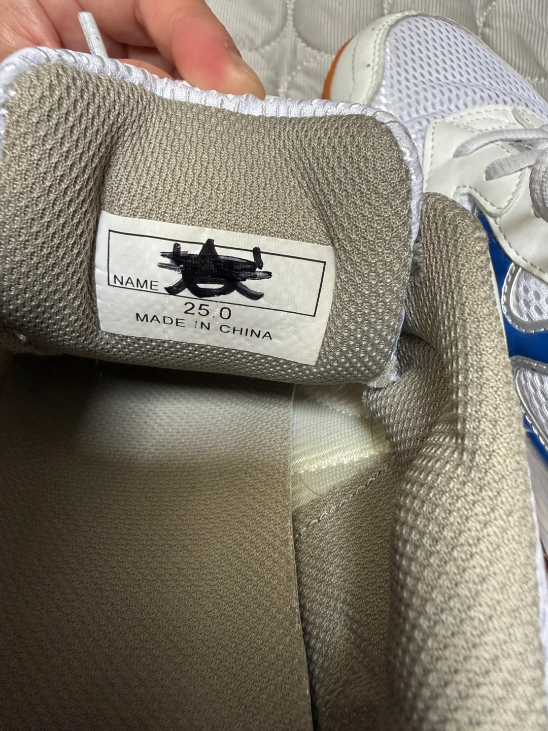 スポーツシューズ体育館ばき25.0cmの写真3枚目