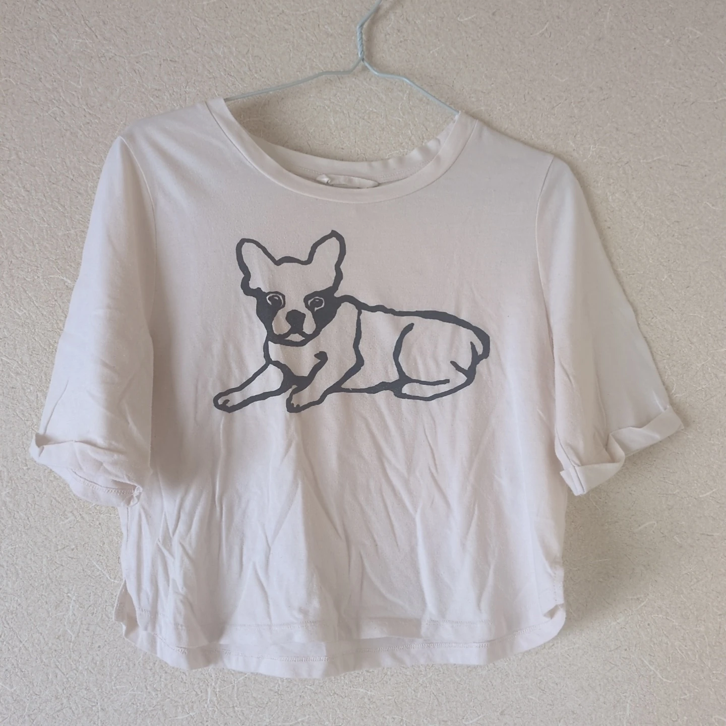 《本日お渡し可能‼️》H＆M エイチアンドエム フレンチブルドッグ Tシャツ XS