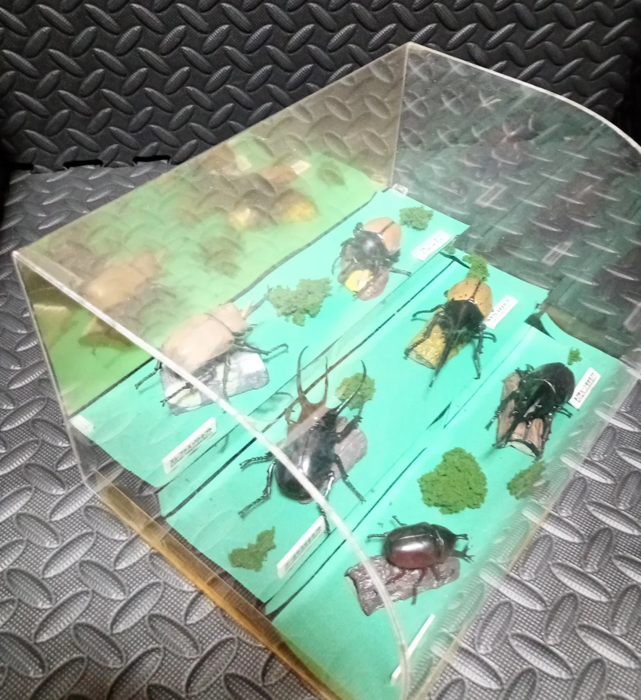 image indicator(2)