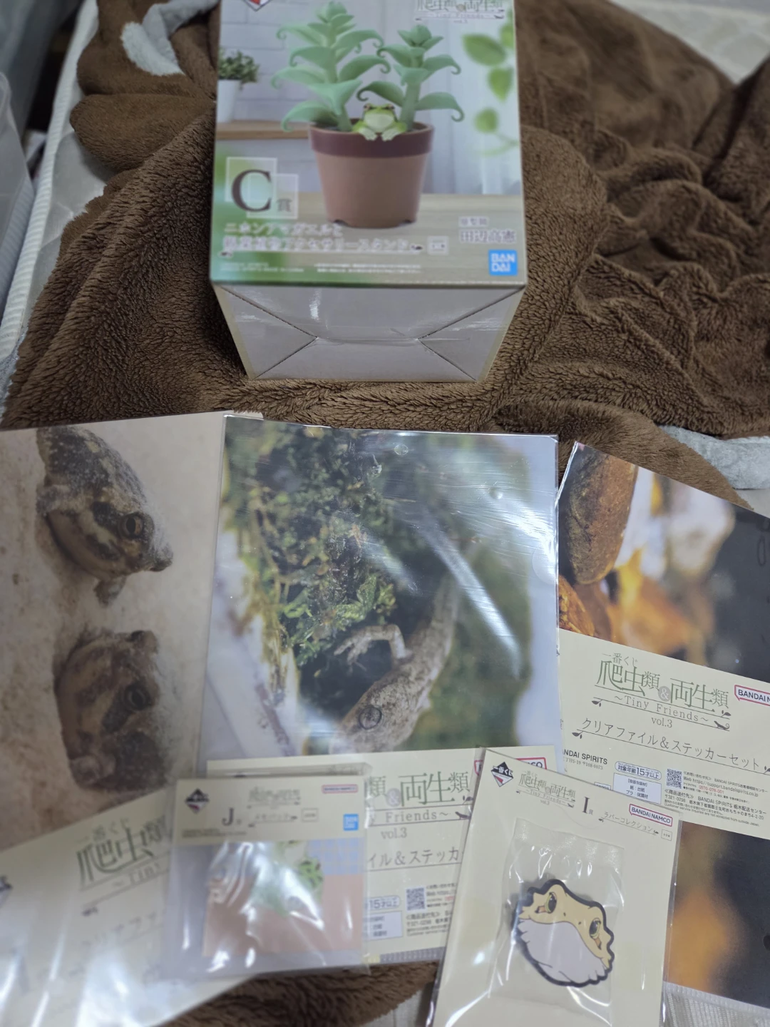 一番くじ 爬虫類&両生類 C賞 おまけ付き ニホンアマガエルの写真2枚目