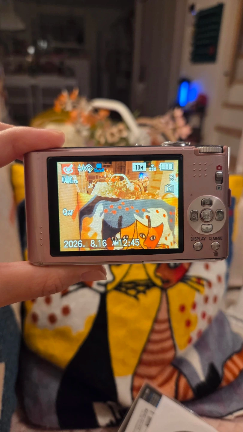 パナソニック ルミックス DMC-FX66 ピンクの写真3枚目