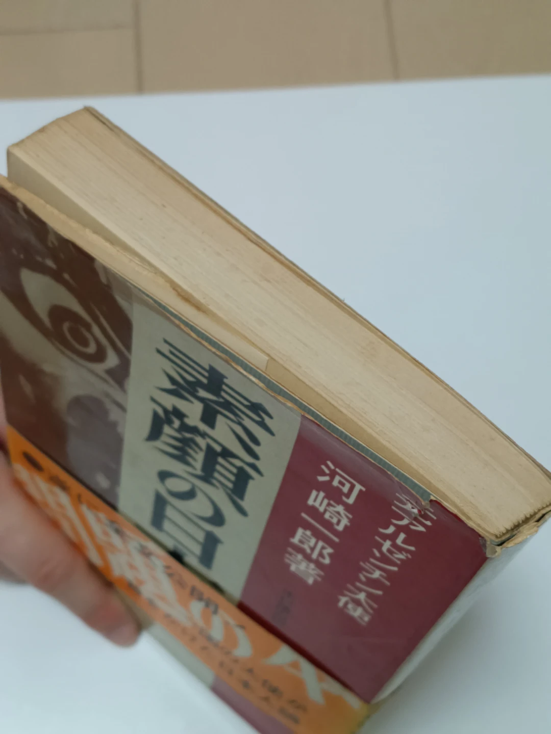 素顔の日本 河崎一郎  1冊の写真2枚目