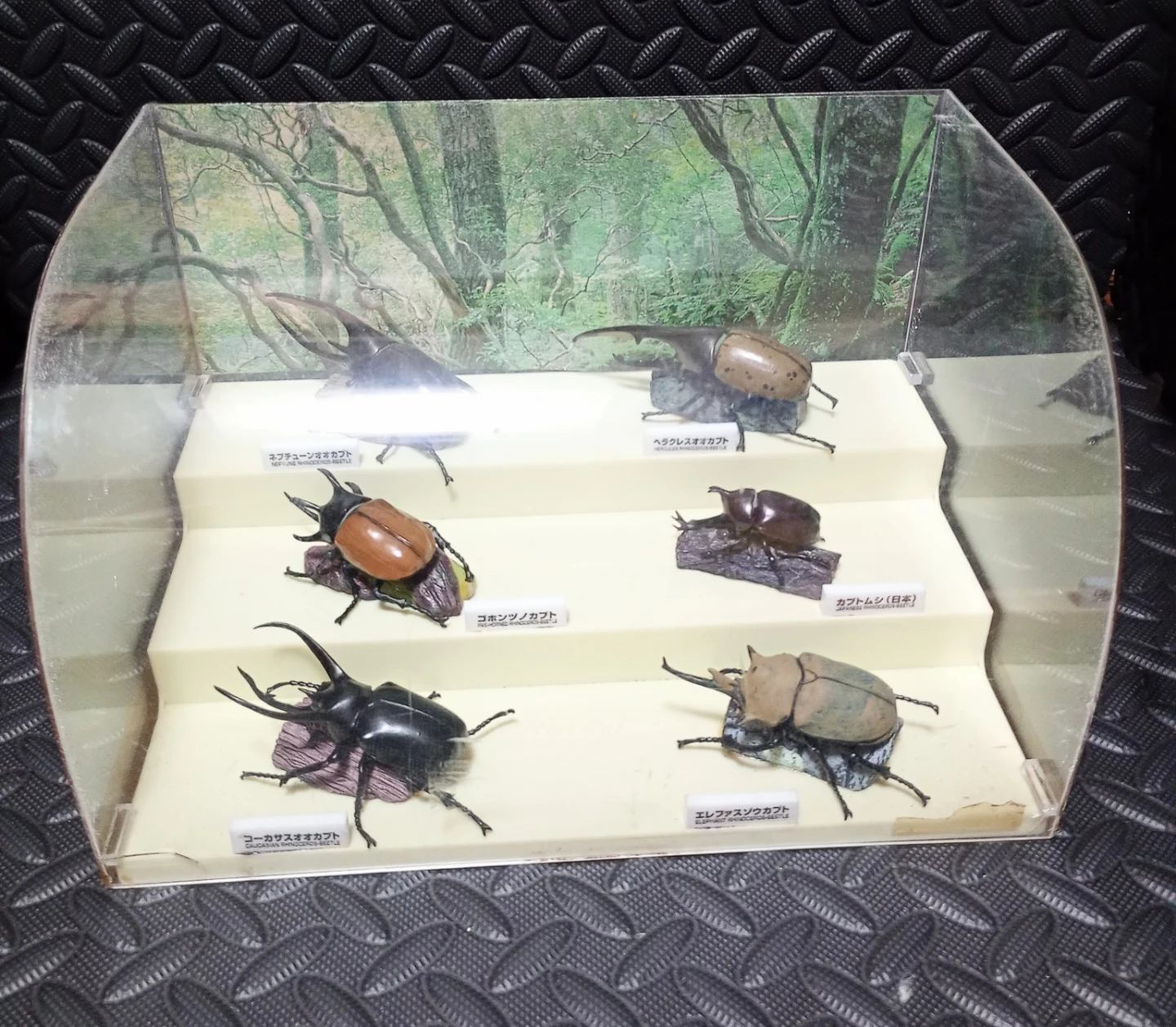 世界のカブトムシ フィギュアコレクション ケース入り　①