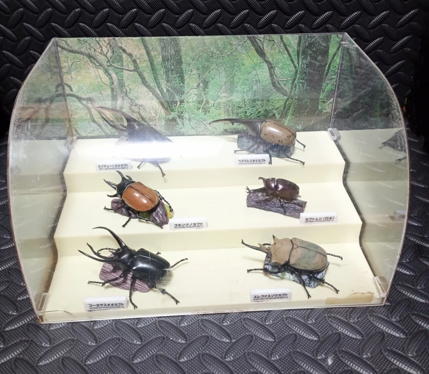 世界のカブトムシ フィギュアコレクション ケース入り ①
