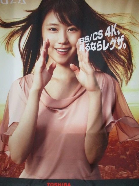 東芝 REGZA 販促用有村架純 特大タペストリーの写真2枚目